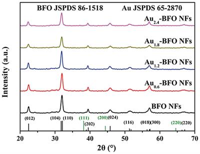 In situ Synthesis of Au-Induced Hierarchical Nanofibers/Nanoflakes Structured BiFeO3 Homojunction Photocatalyst With Enhanced Photocatalytic Activity